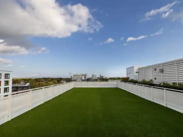 For Rent 2 Bedroom Apartment Kingston ON DS96589050