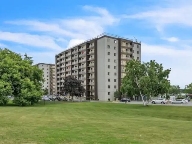 For Rent 2 Bedroom Apartment Kingston ON DS99751685