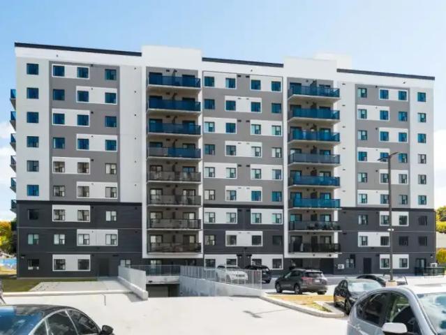 For Rent 2 Bedroom Apartment Kitchener ON DS103215511