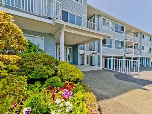 For Rent 2 Bedroom Apartment Ladysmith BC DS103839818