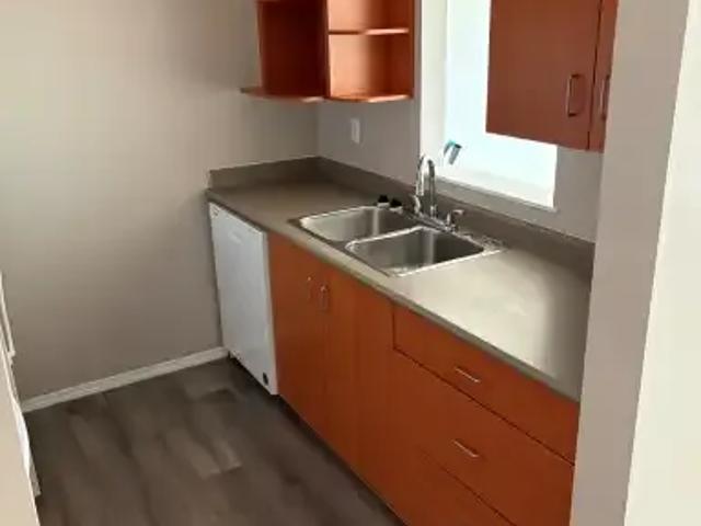 For Rent 2 Bedroom Apartment Langley BC DS106117267