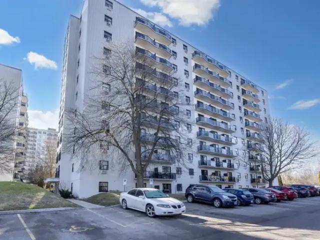 For Rent 2 Bedroom Apartment London ON DS105326541