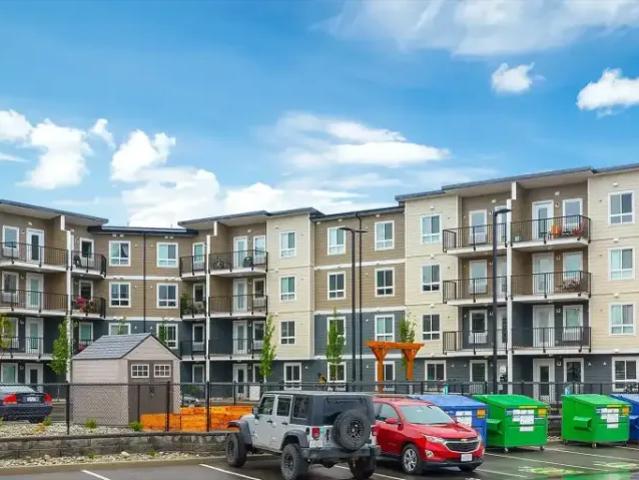 For Rent 2 Bedroom Apartment Parksville BC DS105197979