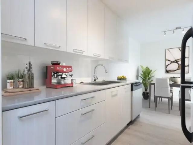 For Rent 2 Bedroom Apartment Red Deer AB DS104710575