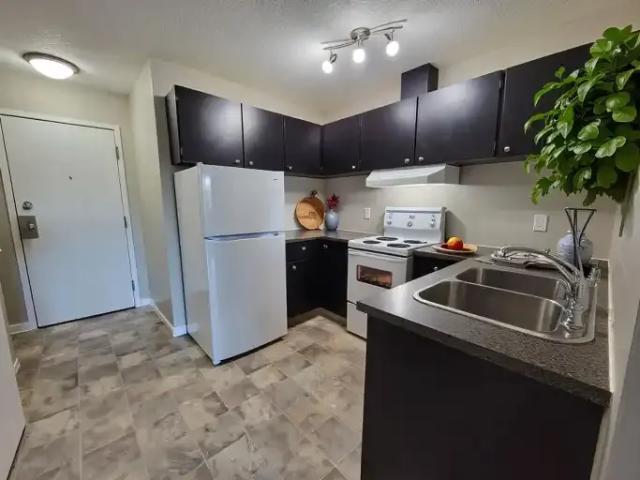 For Rent 2 Bedroom Apartment Red Deer AB DS104864006