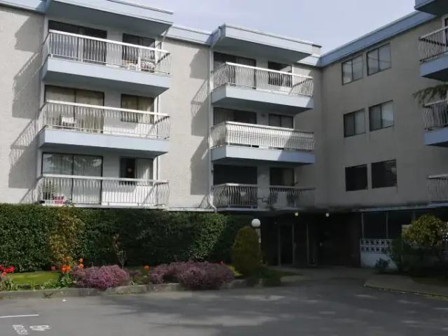 For Rent 2 Bedroom Apartment Richmond BC DS105377582
