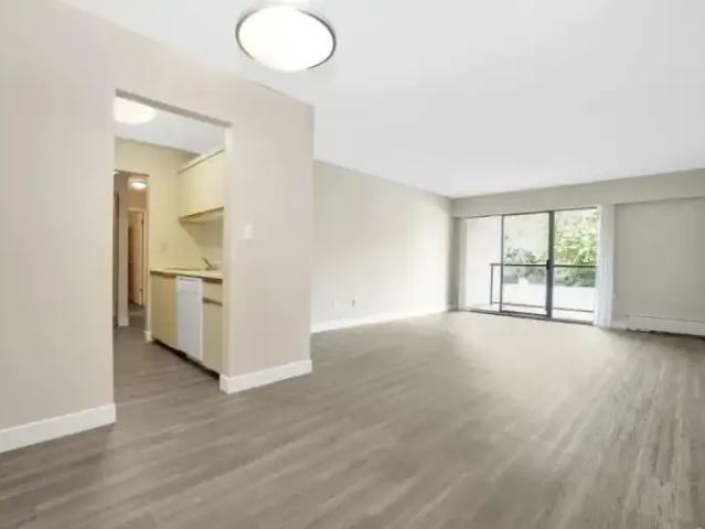 For Rent 2 Bedroom Apartment Richmond BC DS99595880