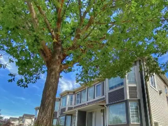 For Rent 2 Bedroom Apartment Strathmore AB DS105022776