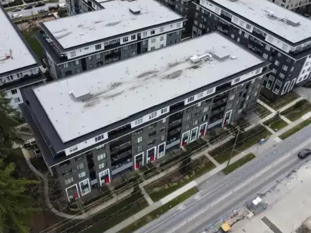 For Rent 2 Bedroom Apartment Surrey BC DS105048133