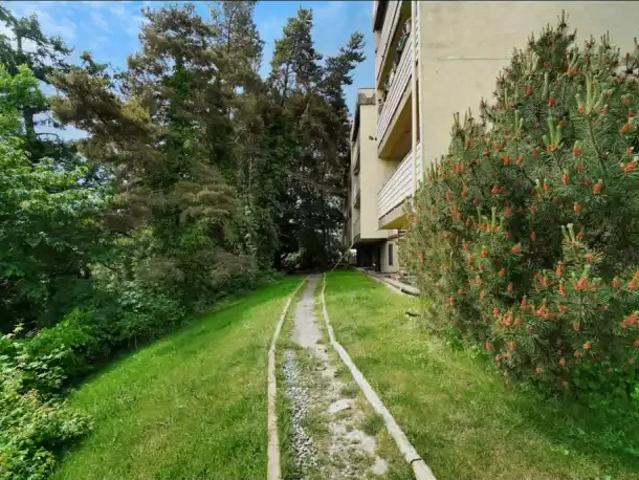For Rent 2 Bedroom Apartment Victoria BC DLS102845706