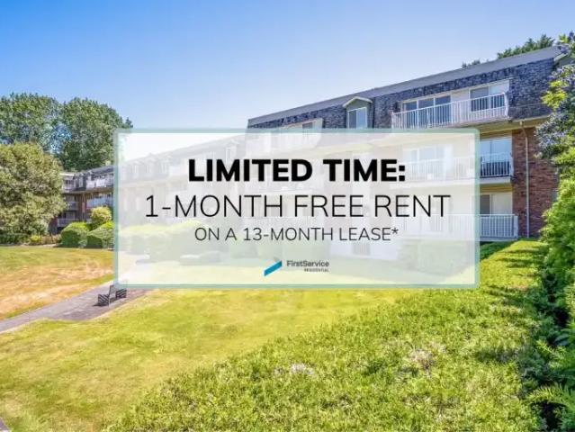 For Rent 2 Bedroom Apartment Victoria BC DS103424397