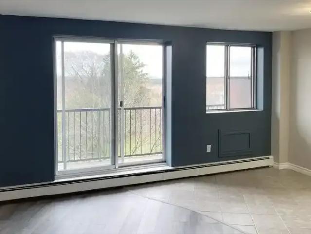 For Rent 2 Bedroom Apartment Wallaceburg ON DS103919545