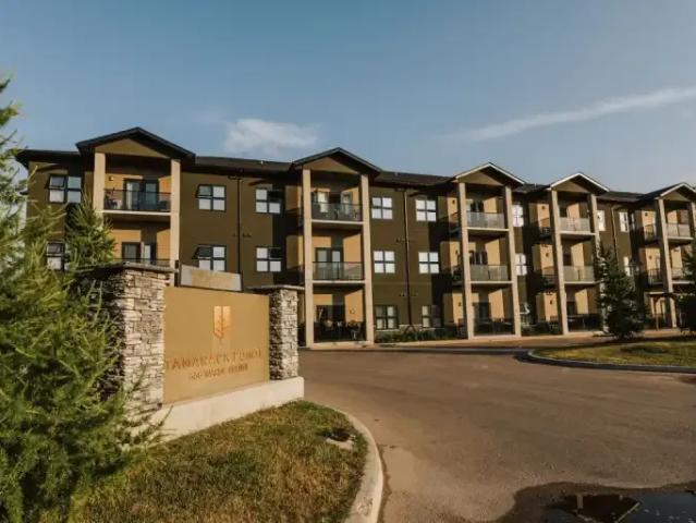 For Rent 2 Bedroom Apartment Winnipeg MB DS103611302