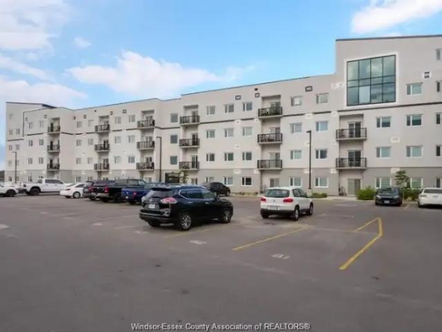 For Rent 2 Bedroom Apartment Windsor ON DLS100444723