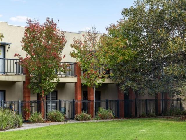 For Rent 2 Bedroom House Mawson Lakes, DS103659070