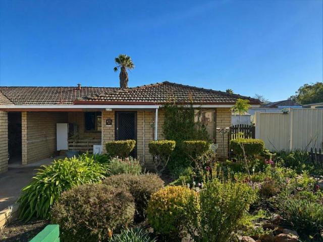 For Rent 2 Bedroom House Narrogin WA DS105932976