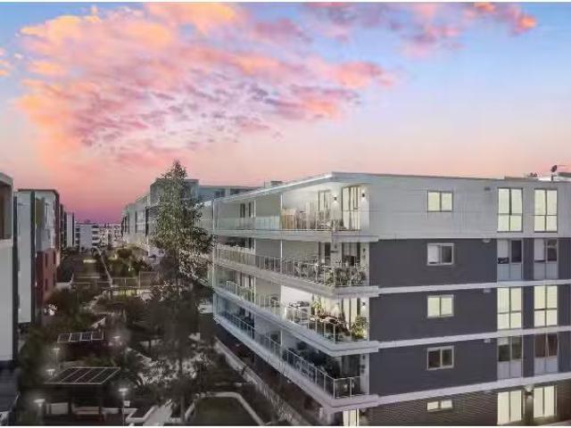 Cozy 2 BR 318/48 Jacqui Avenue, Schofields Apartment for rent.