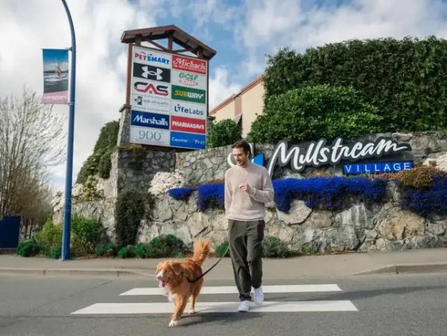 For Rent 2.5 Bedroom Apartment Victoria BC DS104183026