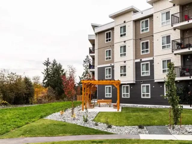 For Rent 3 Bedroom Apartment North Cowichan BC DS103410603
