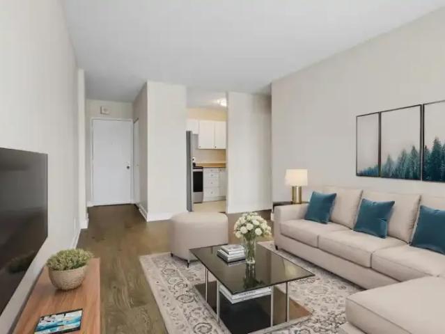 For Rent 3 Bedroom Apartment Kingston ON DS104140885