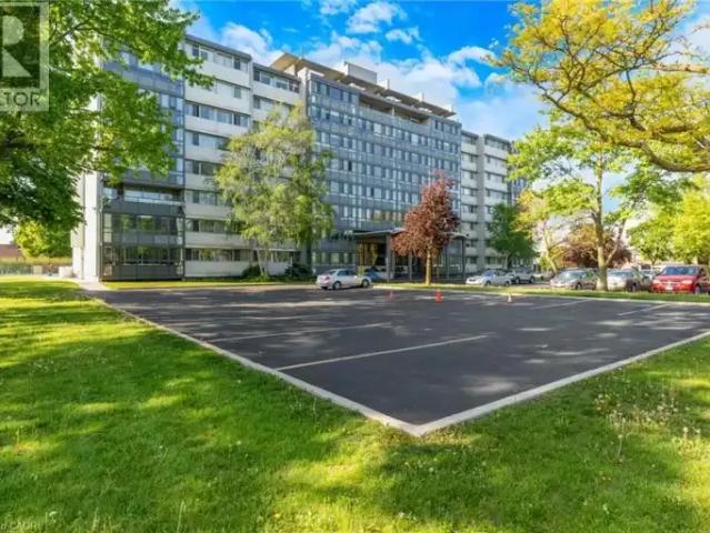 For Rent 3 Bedroom Apartment Kitchener ON DS105281933