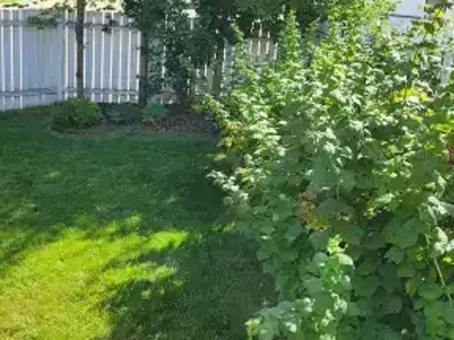 For Rent 3 Bedroom Apartment Strathmore AB DS105167430