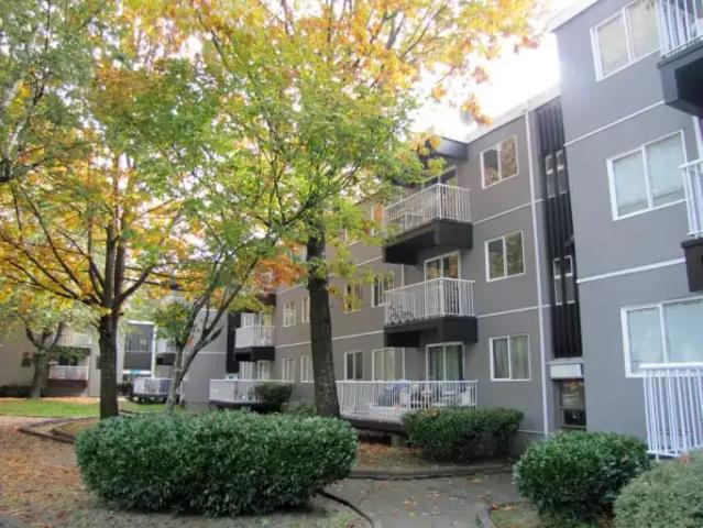 For Rent 3 Bedroom Apartment Surrey BC DS94327997