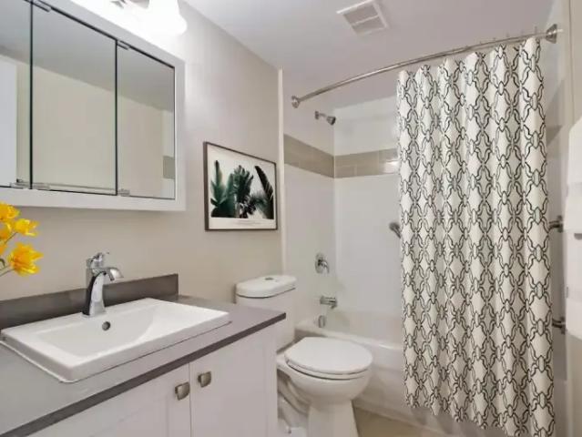 For Rent 3 Bedroom Apartment Toronto ON DS103694019