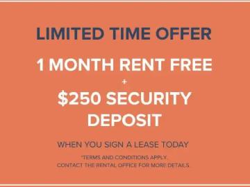 For Rent 3 Bedroom Apartment West Kelowna BC DS96247810
