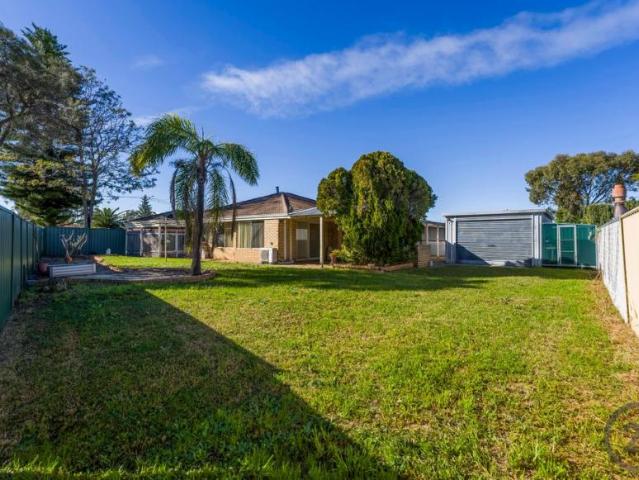 For Rent 3 Bedroom House Coodanup, WA DS104601271