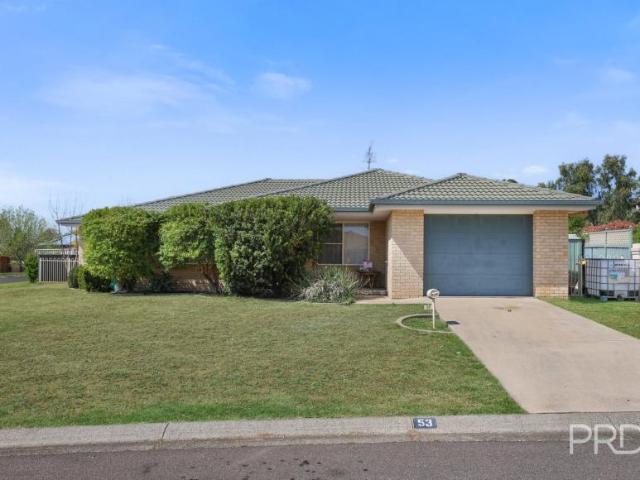 For Rent 3 Bedroom House CALALA NSW DS105944194