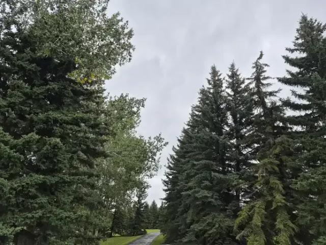 For Rent 3 Bedroom House Calgary AB DS105378227