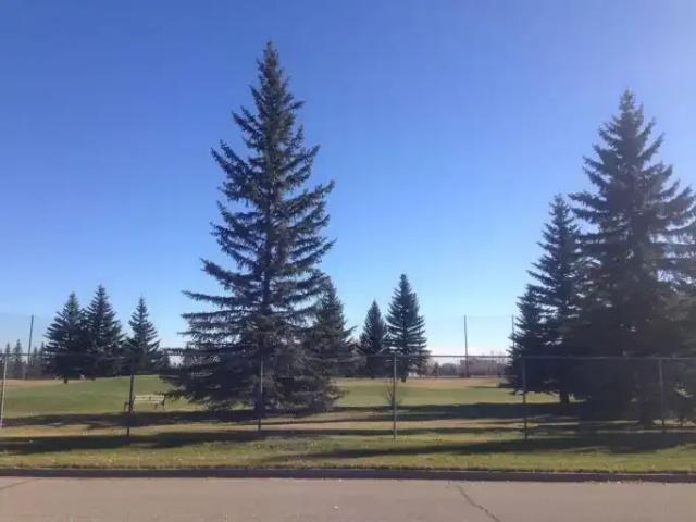 For Rent 3 Bedroom House Calgary AB DS105525610