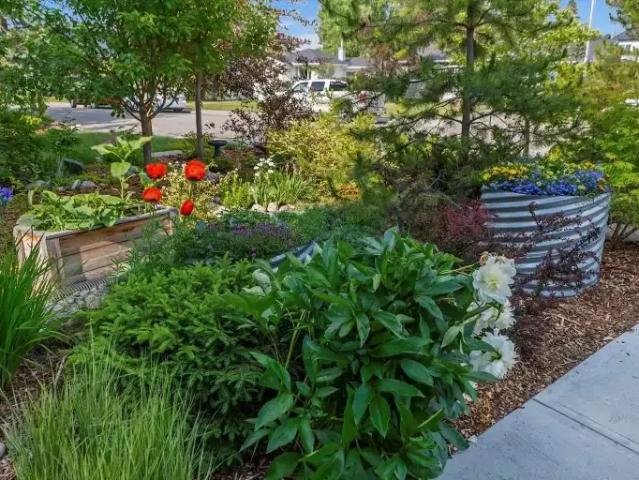 For Rent 3 Bedroom House Calgary AB DS105654050