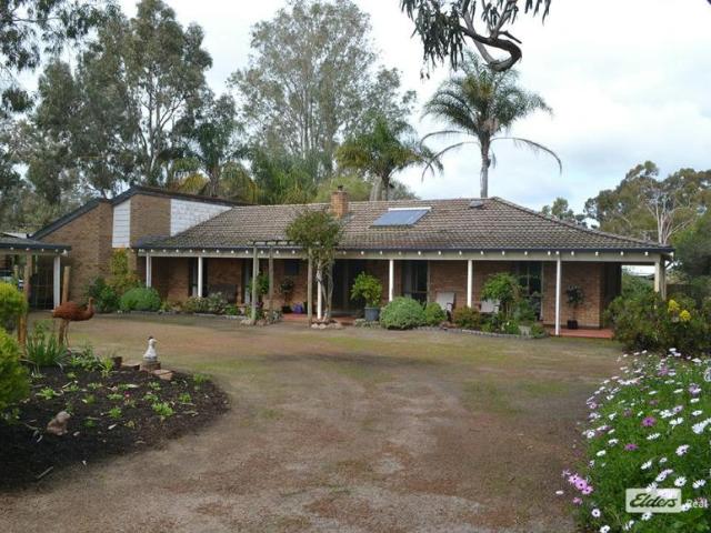 For Rent 3 Bedroom House Capel WA DS105932900