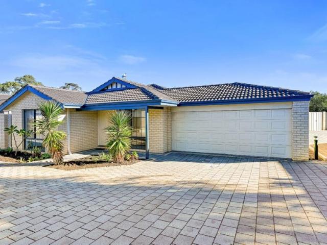 For Rent 3 Bedroom House Clarkson, WA DS104145537
