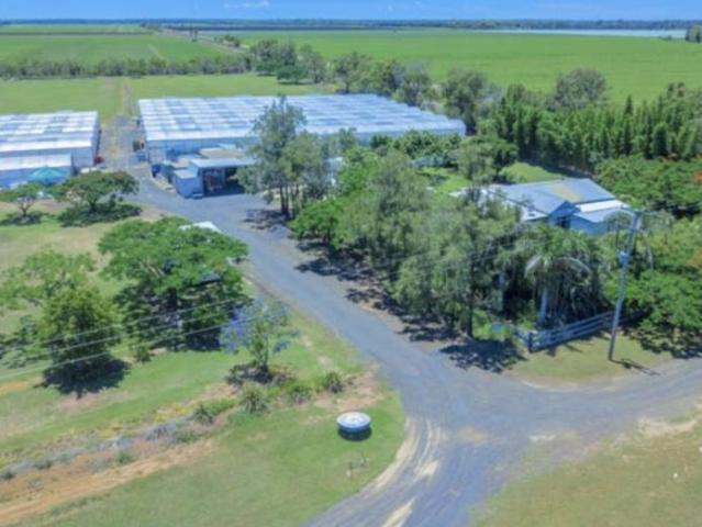 For Rent 3 Bedroom House ALLOWAY QLD DS104950234