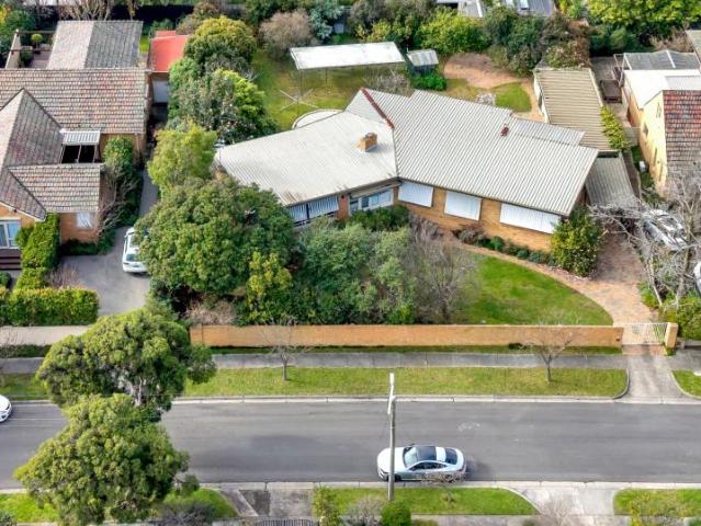 For Rent 3 Bedroom House BALWYN NORTH VIC DS104976438