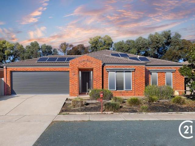 For Rent 3 Bedroom House Echuca, VIC DS102797197