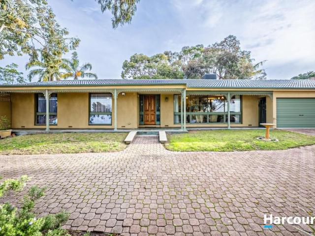For Rent 3 Bedroom House Flagstaff Hill SA DS106022240