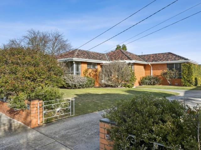 For Rent 3 Bedroom House Moorabbin VIC DS105819941