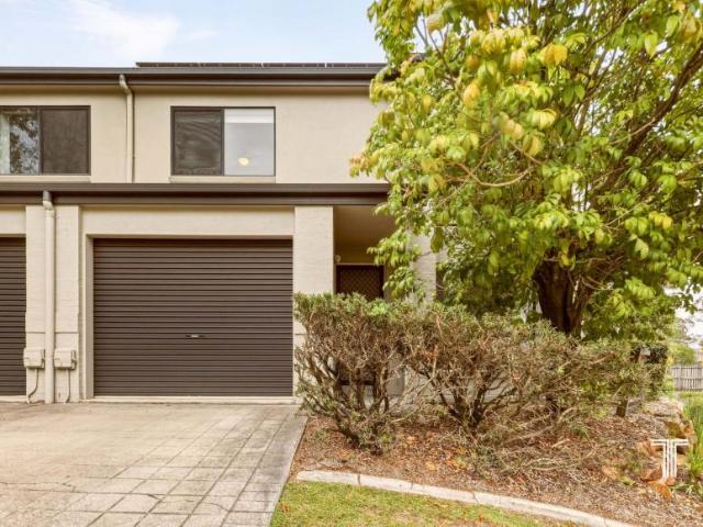 For Rent 3 Bedroom House Manly West QLD DS105252326