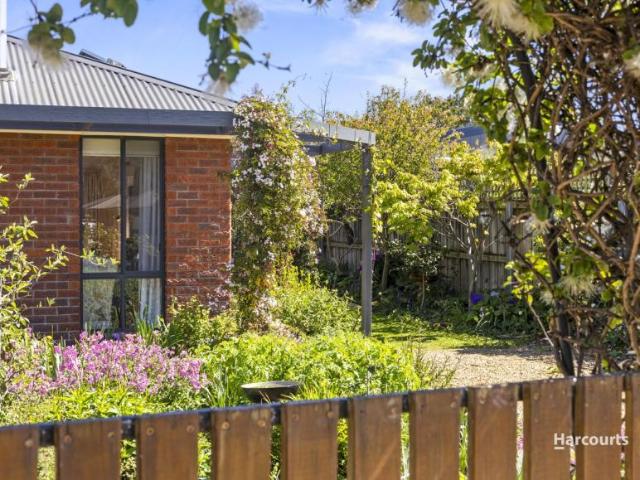 For Rent 3 Bedroom House Margate TAS DS106002996
