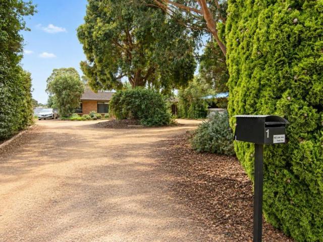 For Rent 3 Bedroom House Naracoorte SA DS105932298