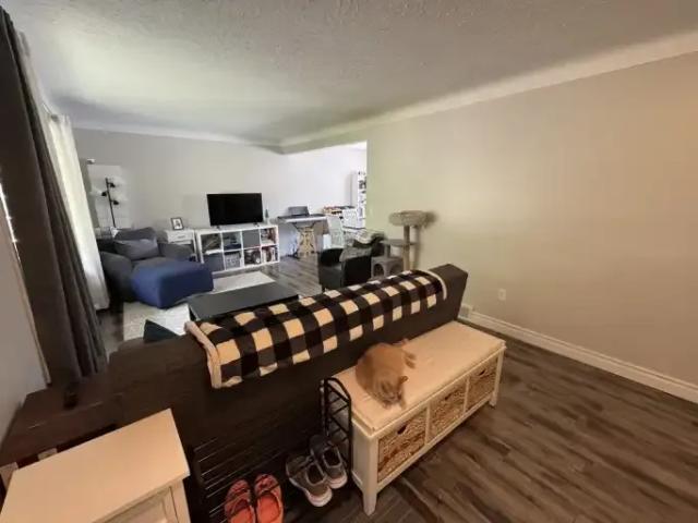 For Rent 3 Bedroom House St. Catharines ON DS103739926