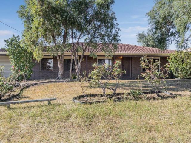 For Rent 3 Bedroom House Swan View WA DS106008910