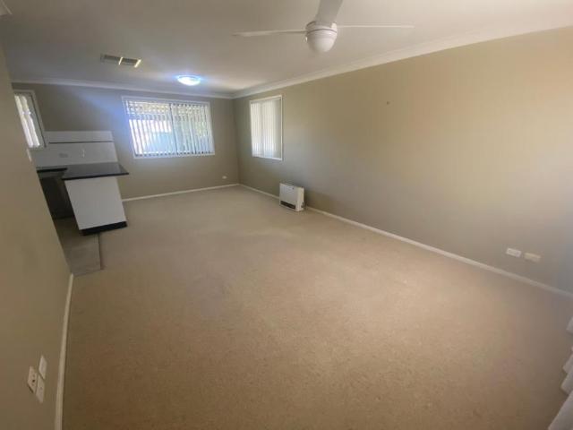 For Rent 3 Bedroom House TAMWORTH NSW DS105972023