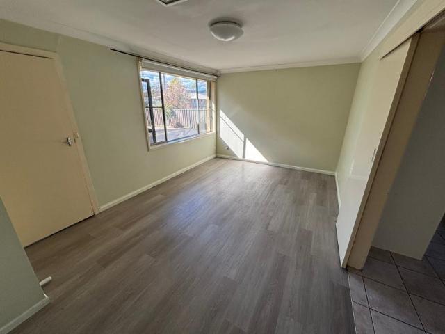 For Rent 3 Bedroom House TAMWORTH NSW DS105972085