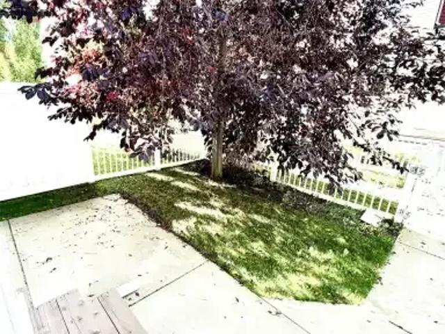 For Rent 3 Bedroom Townhouse Edmonton AB DS105715797
