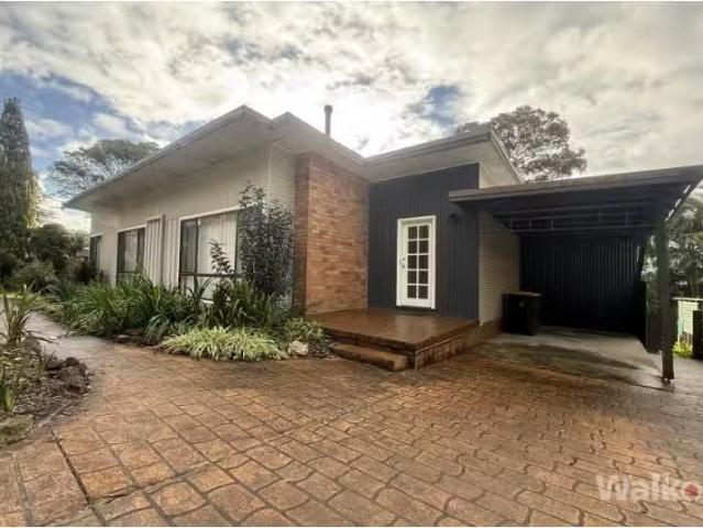 Nice 3 BR 30 Cathrine Street, Kotara South House for rent Lis.